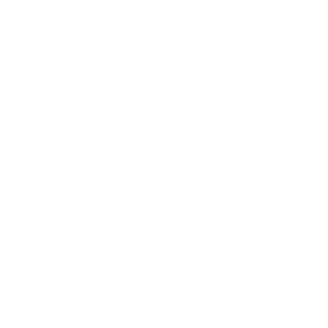 Einkaufswagen Icon