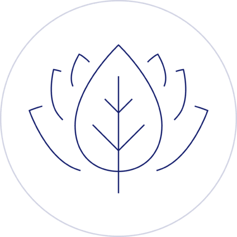 Blatt-Icon