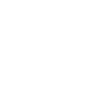 Icon Hand mit Stern