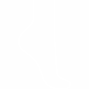 Icon Fuß