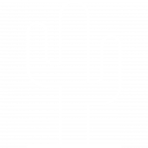 Kaktus Icon